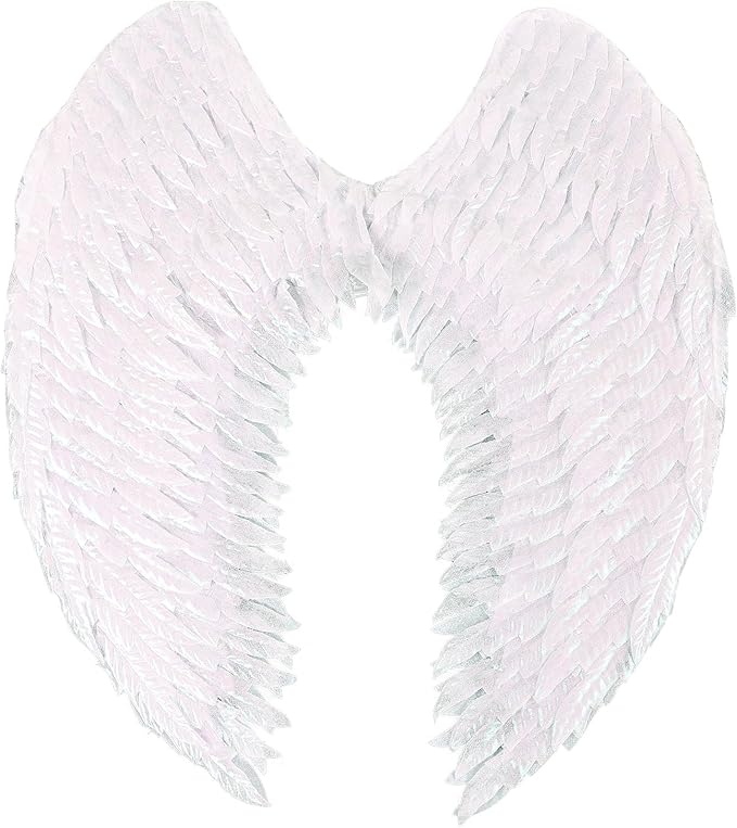 2D Angel Wings Costume Accessories
