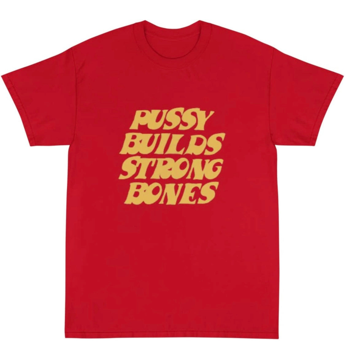 CUSTOM Women's PUSSY BUILDS STRONG BONES Graphic T-Shirt