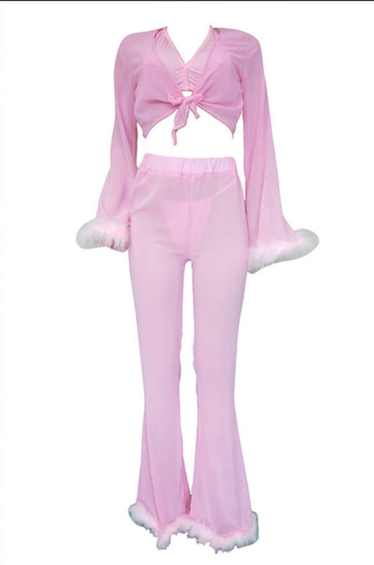 Womens Sheer Pink Feather Fairy Set